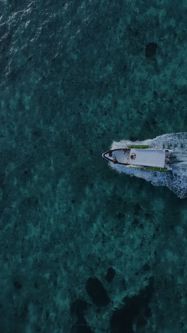 摩托艇在蓝色的海水中行驶视频下载