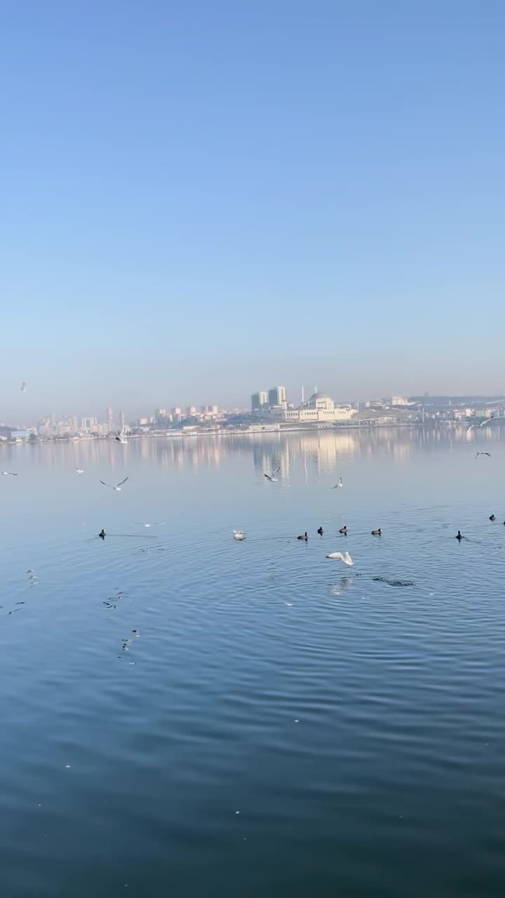 Istanbul_Lake_5视频素材