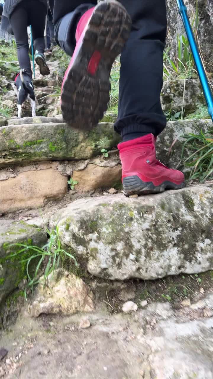 一个穿着红靴子的成年妇女带着她的狗在山里徒步旅行的特写后视图视频下载