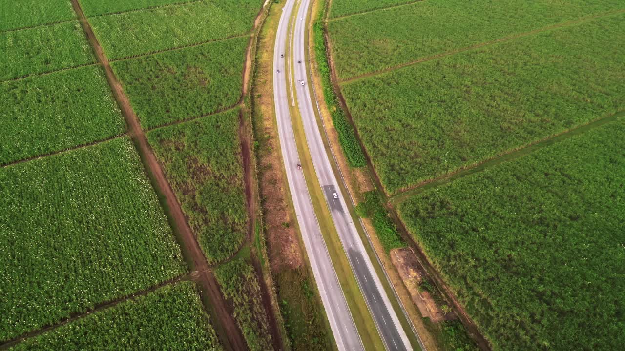 多车道高速公路鸟瞰图，日落时分，汽车在绿色的农田间穿行。用于生产糖和酒精的大型甘蔗种植园视频素材