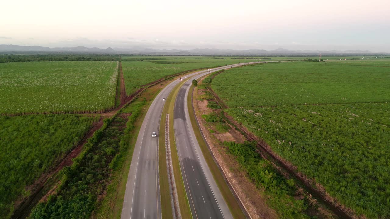 高速公路上的飞机在夕阳下播种庄稼的绿色农田之间飞行。多米尼加共和国生产糖和酒精的大型甘蔗种植园视频素材