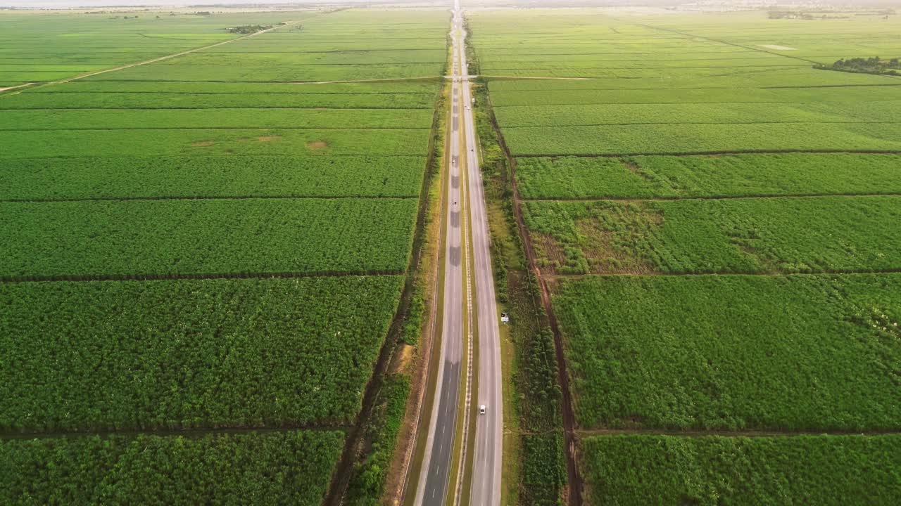 夕阳下，多车道公路在绿色农田之间的空中俯瞰。用于生产糖和酒精的大型甘蔗种植园视频素材