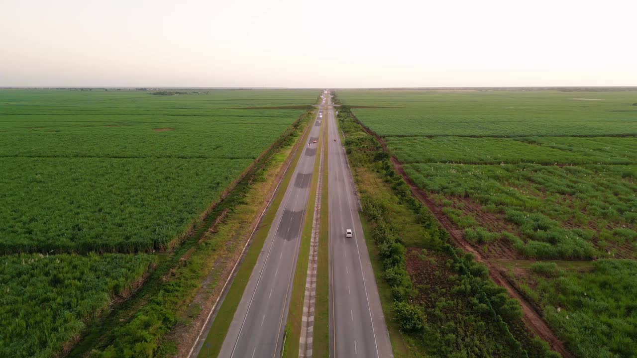 在多车道高速公路上的空中飞行，有许多汽车在绿色的农田之间行驶，晚上正在播种庄稼。用于生产糖和酒精的大型甘蔗种植园视频素材