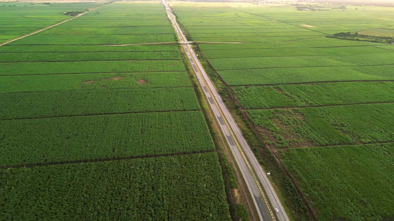 多车道高速公路的航拍轨道视图，车辆行驶在日落时播种庄稼的绿色农田之间。用于生产糖和酒精的大型甘蔗种植园视频素材