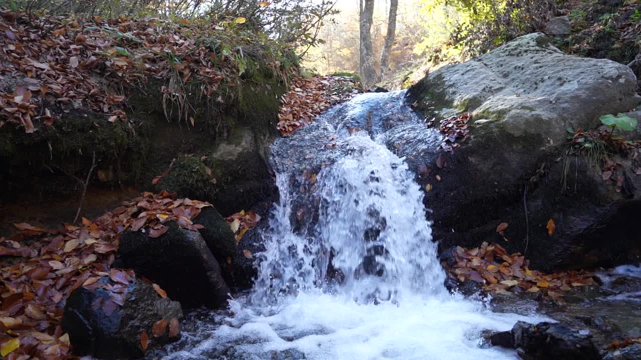 秋天的风景视频素材