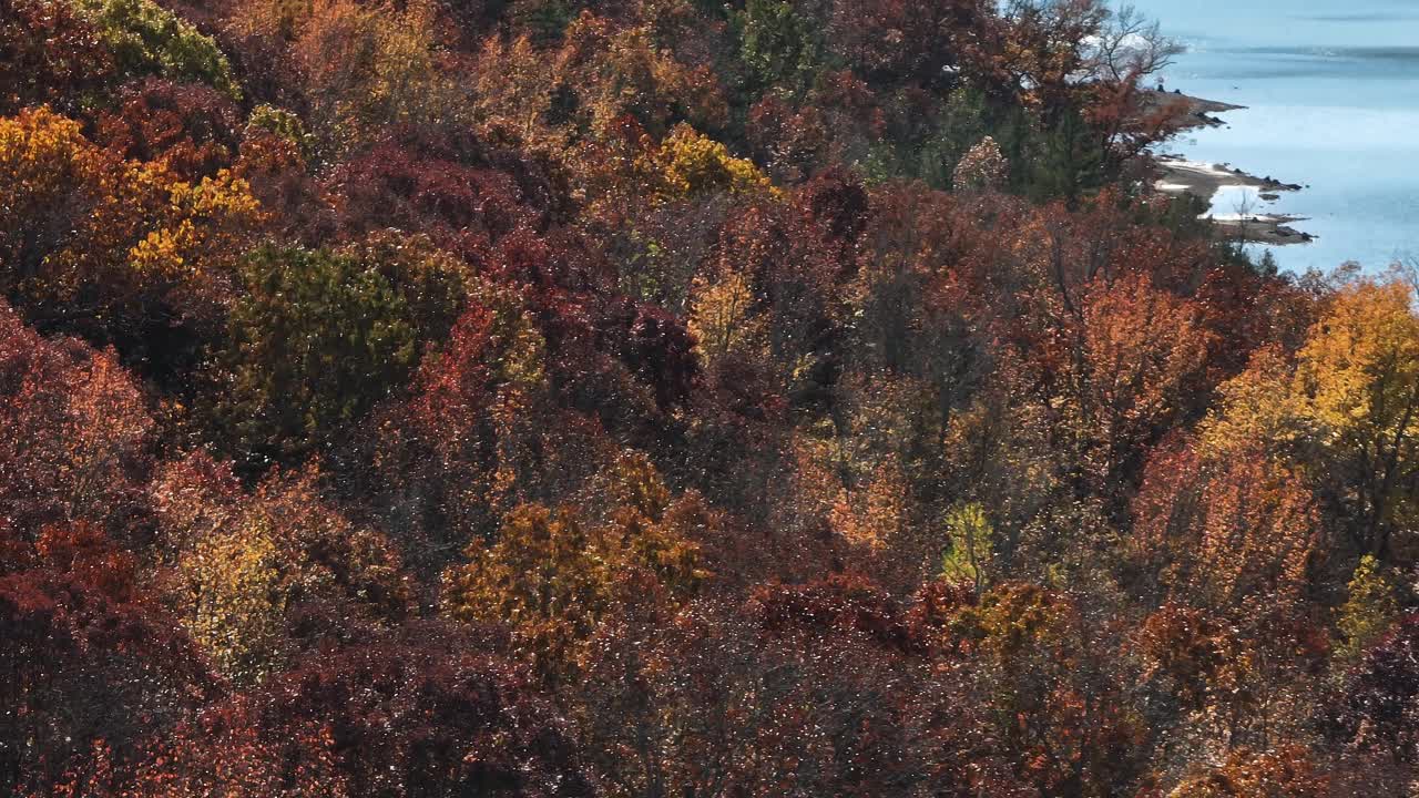 秋天森林附近的湖景观-湖堡史密斯州立公园在阿肯色州，美国-无人机拍摄视频素材