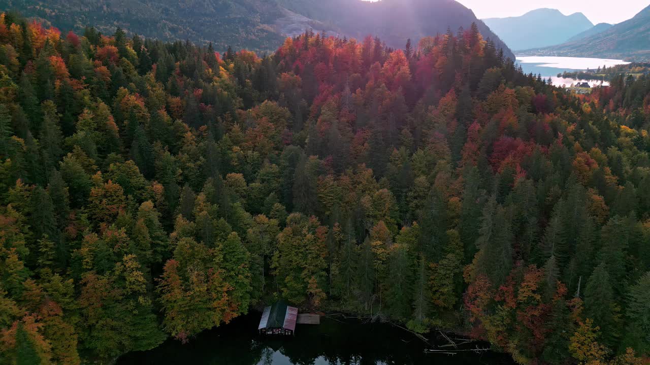 美丽的秋天森林托普利茨湖，奥地利从无人机-住宅小屋在托普利茨湖的银行视频素材