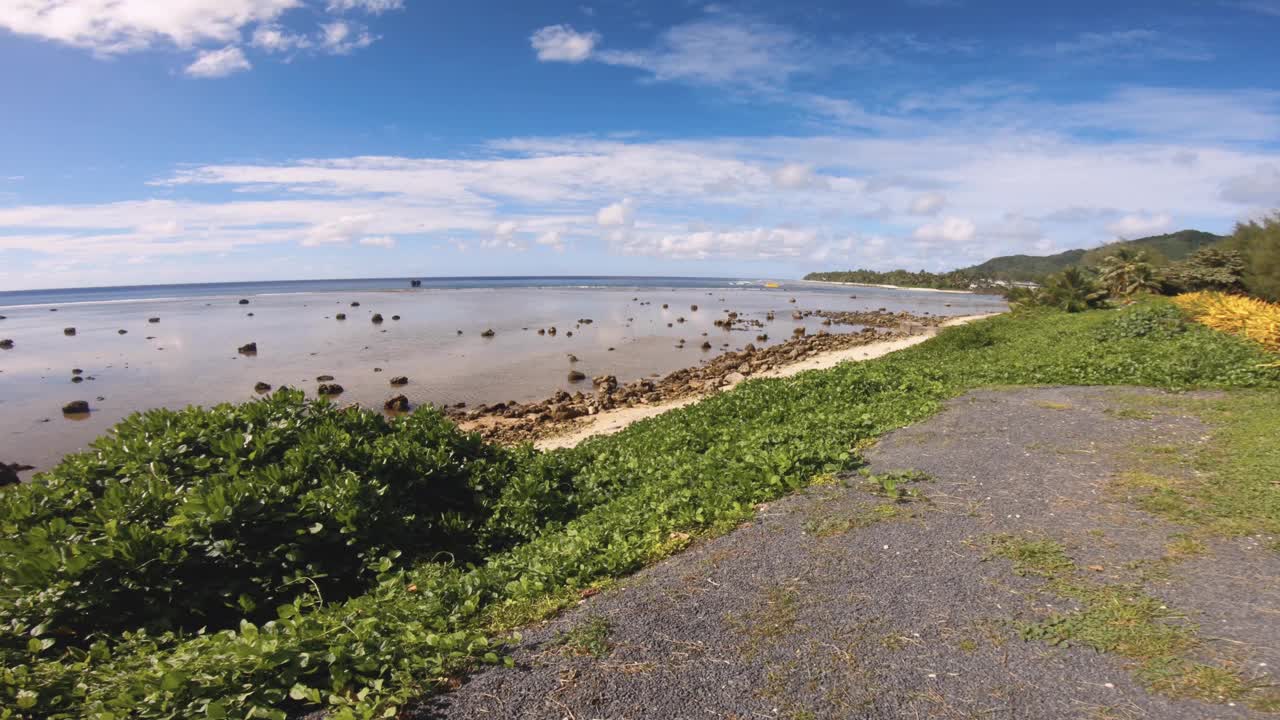 水平窗格的岩石海岸，海岸线，海滨和植被在良好的风化的一天，蓝天，阳光望向太平洋与环礁，珊瑚泻湖放松和平的海洋波利尼西亚岛视频素材