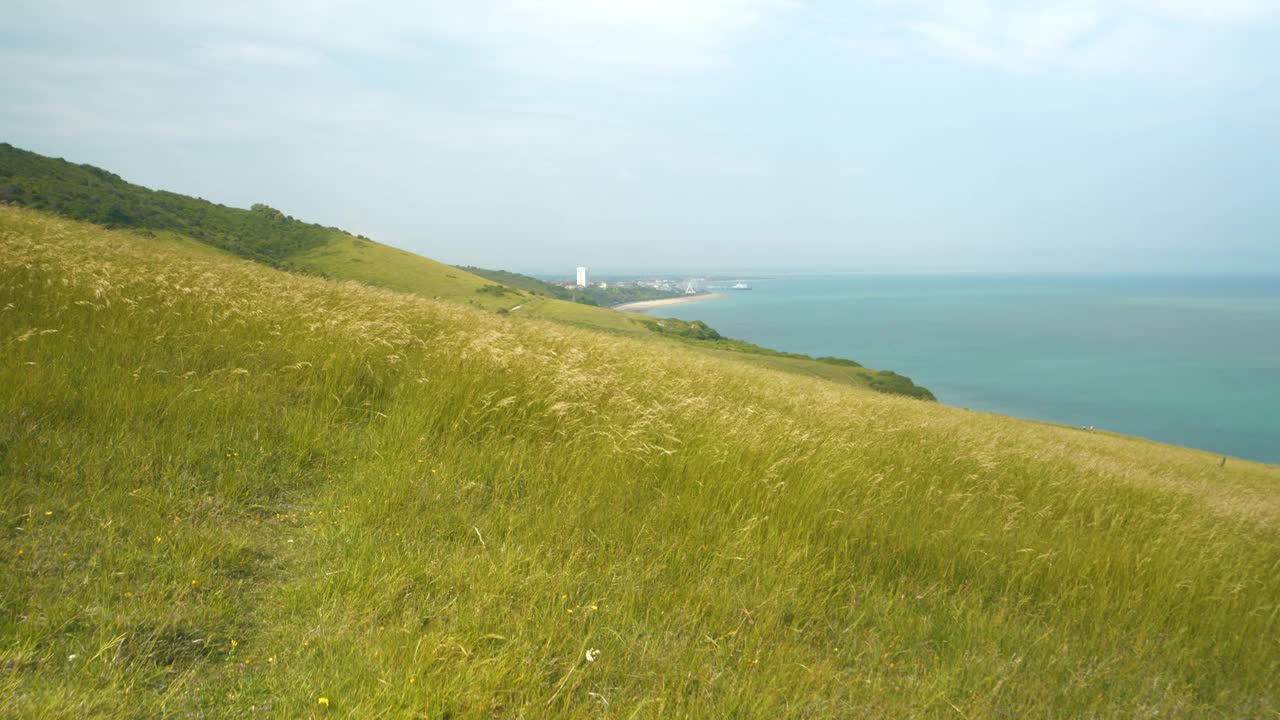 夏日的微风吹过悬崖，绿草摇曳，沙沙作响视频素材