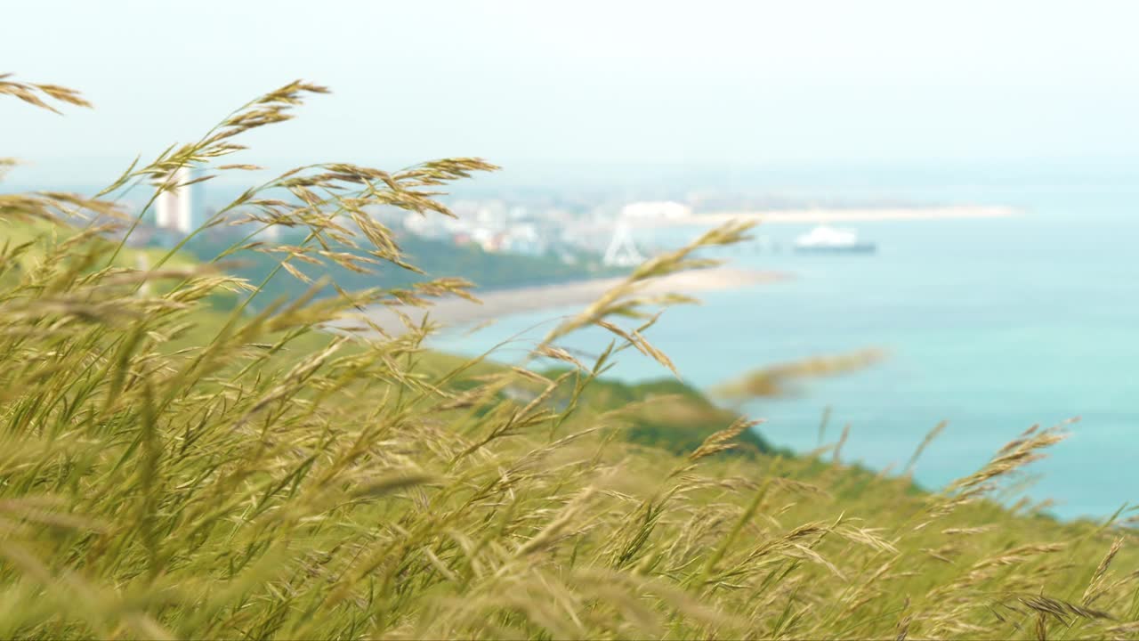 夏日的风在海边小镇伊斯特本的悬崖上摇曳着草视频素材