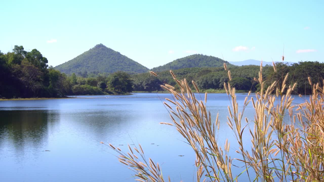 白天，水库的大气与美丽的山和草的视频。视频素材