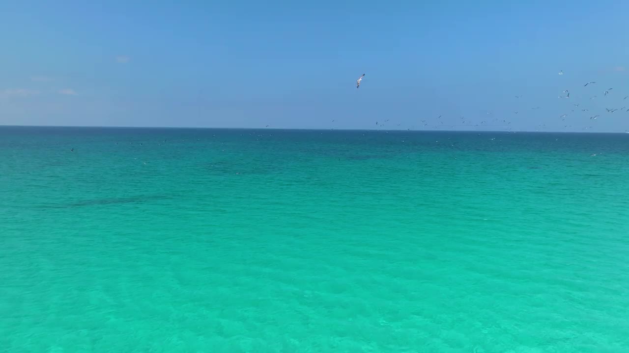 在也门索科特拉岛的Shoab海滩，海鸟飞过蓝绿色的海水。——空中视频素材