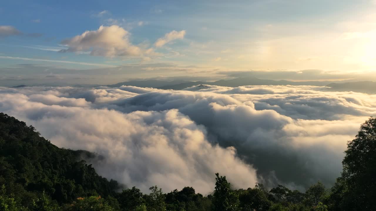 泰国南部的雅拉省，空中无人机拍摄的早晨有很多雾和薄雾的雨林视频素材