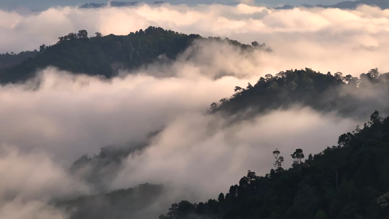 泰国南部的雅拉省，空中无人机拍摄的早晨有很多雾和薄雾的雨林视频素材