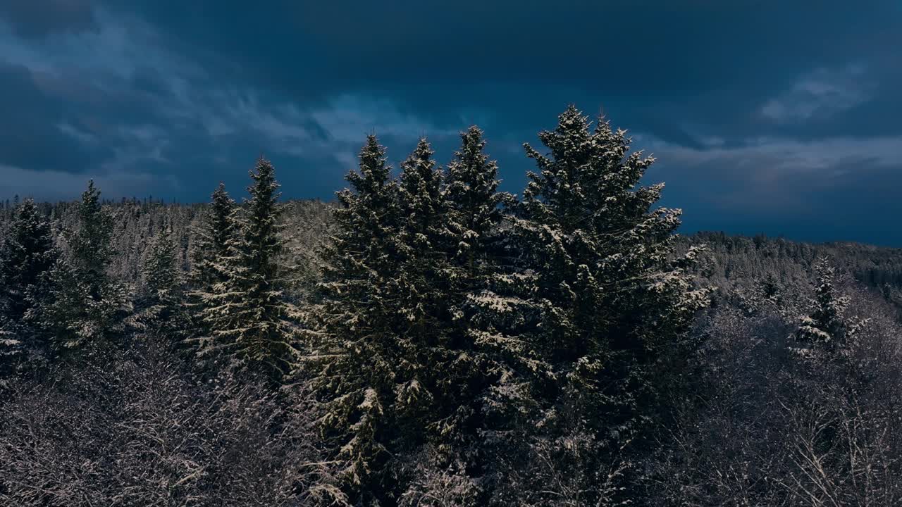 白雪皑皑的森林景观对阴天在因德福森，挪威-空中回调视频素材