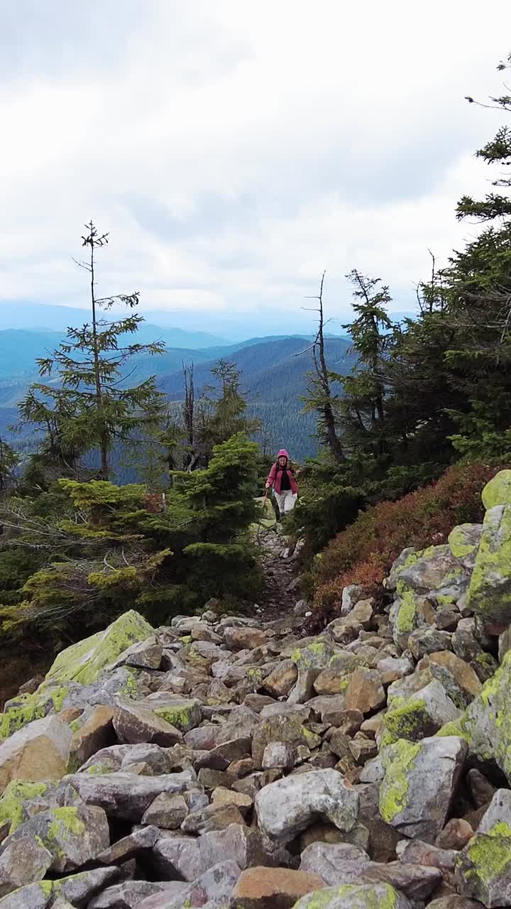 一位妇女在徒步旅行时越过岩石爬上一座山。她用登山杖视频下载