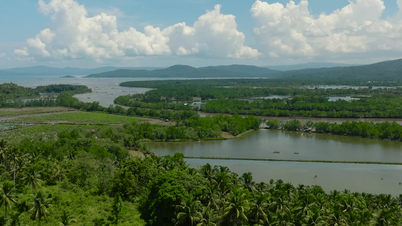 菲律宾的热带山景。视频素材