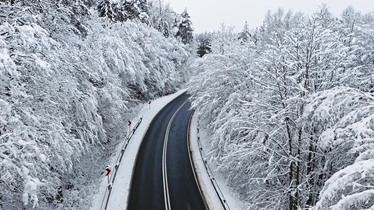 冬天的森林被柏油路隔开，有雪有霜。视频素材