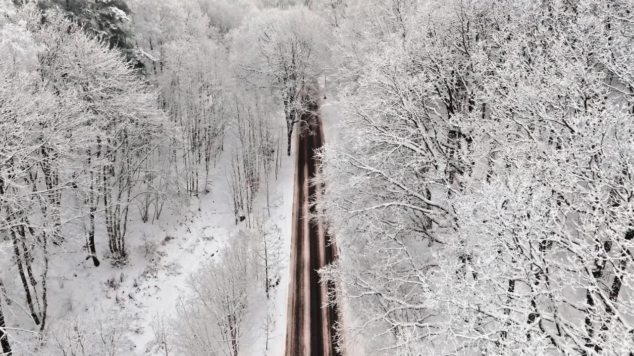 通往冰冻森林的滑雪道路。冬天的交通。视频素材