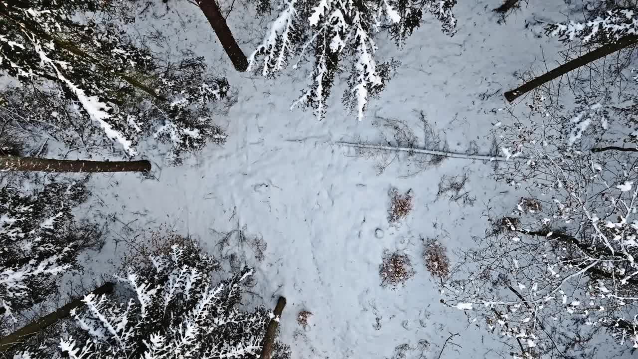 冻得五彩缤纷，冻得冬天有霜有雪。视频素材