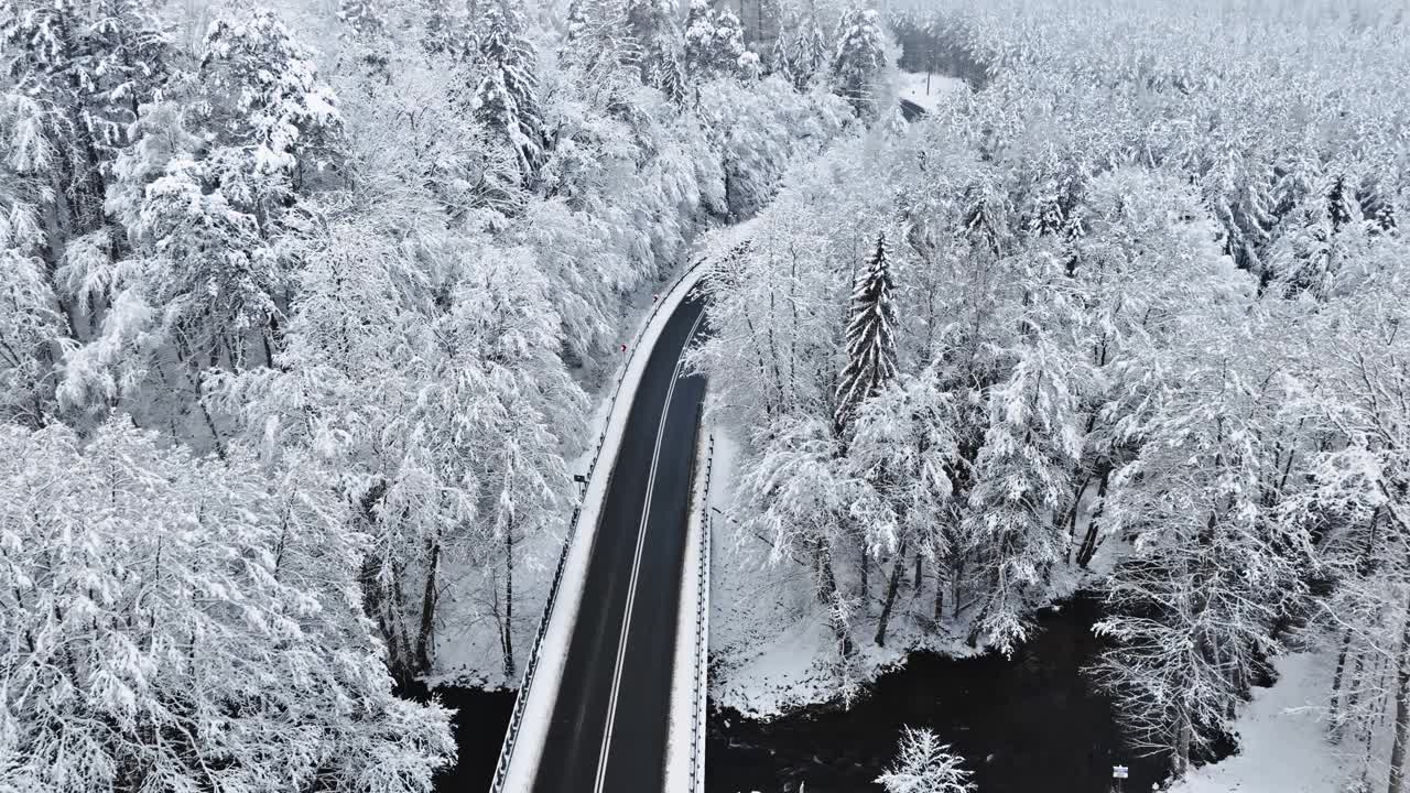 波兰，冰雪覆盖的森林、白霜和冬日的柏油路。视频素材