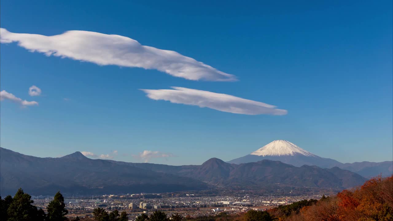 在神奈川县大江町的黄玉梅内托，蓝天和富士山上漂浮着浮云视频下载