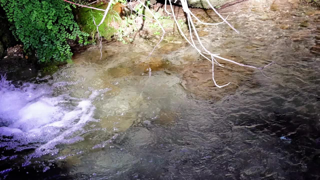 宁静的小溪在自然环境中象征着宁静和生态水晶小溪的流动反映了宁静的生态美质朴的小溪体现了宁静完美的生态视觉视频素材