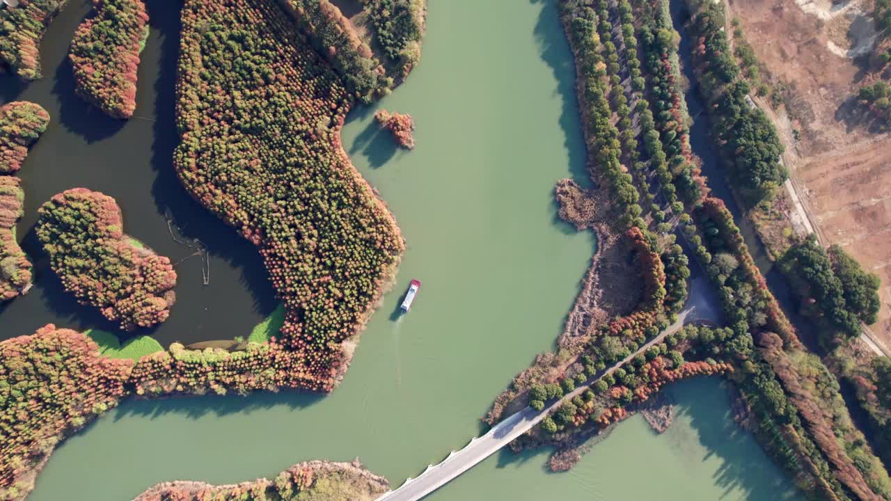 中国江苏省常熟上湖公园的高角度景观。美丽的红木森林，旅游船航行在宁静的湖在阳光明媚的秋日，4k实时镜头，无人机视图。视频素材