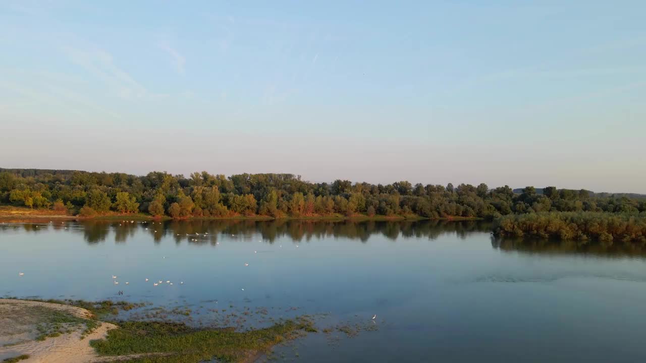 无人机载着天鹅飞过多瑙河，在夕阳下飞向耕地视频素材