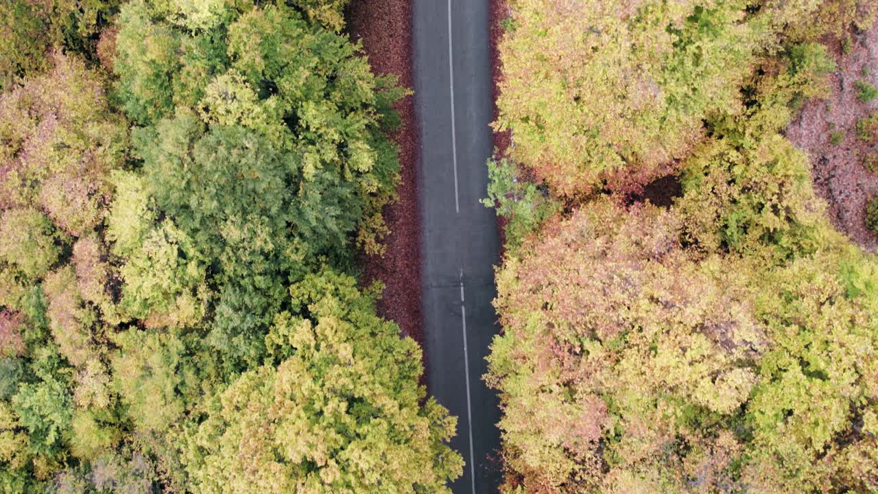 令人惊叹的景色弯曲的山路在秋天五颜六色的森林树木，航拍视频素材