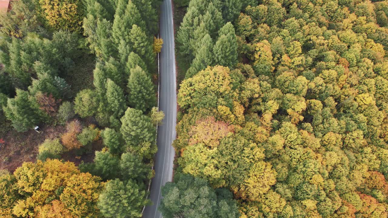 在一个阳光明媚的秋日，空旷的柏油路穿过令人惊叹的色彩斑斓的森林。在风景如画的乡村，驾车穿过田园诗般的树林，进行轻松的旅行视频素材