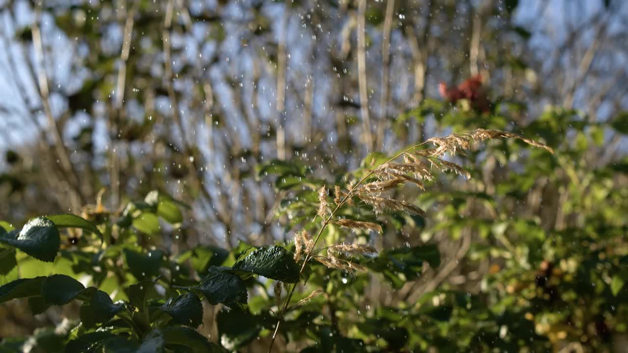 雨滴以超级慢动作落下。视频素材