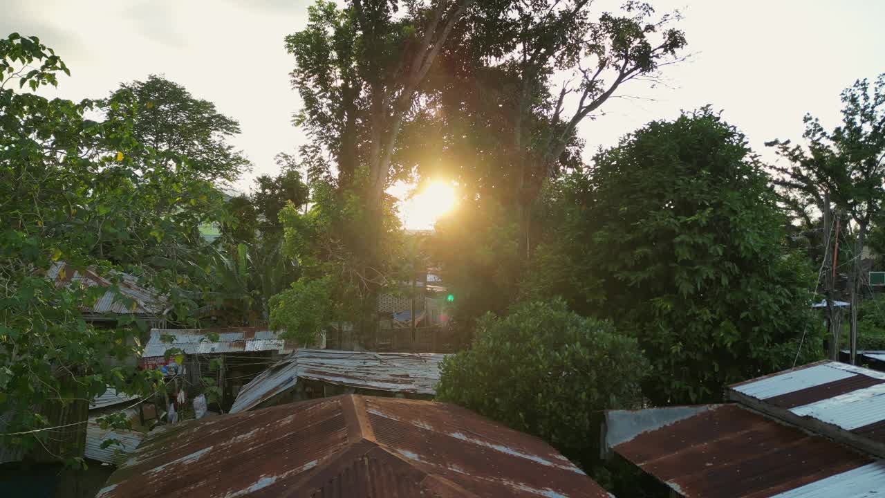 古老的住宅建筑和日落时的奇异树木视频素材