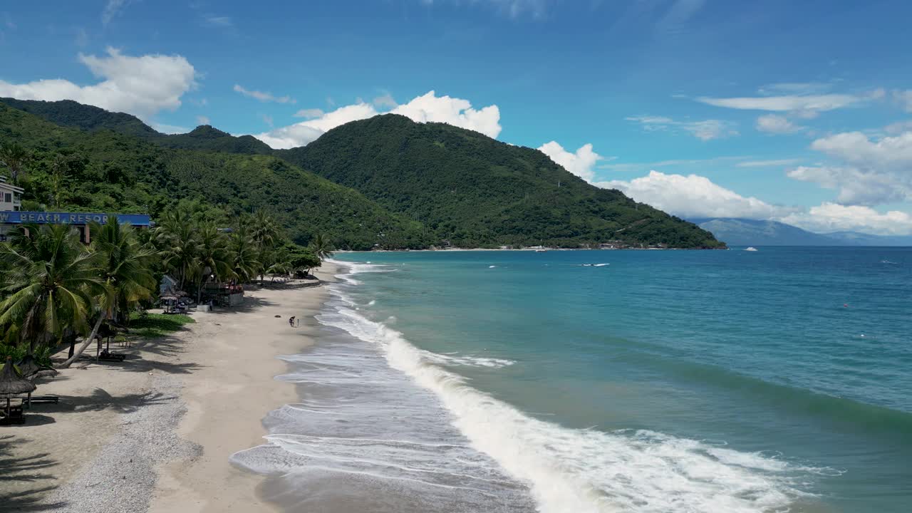 热带地区的沙滩被海水冲刷，有异国情调的树木视频素材