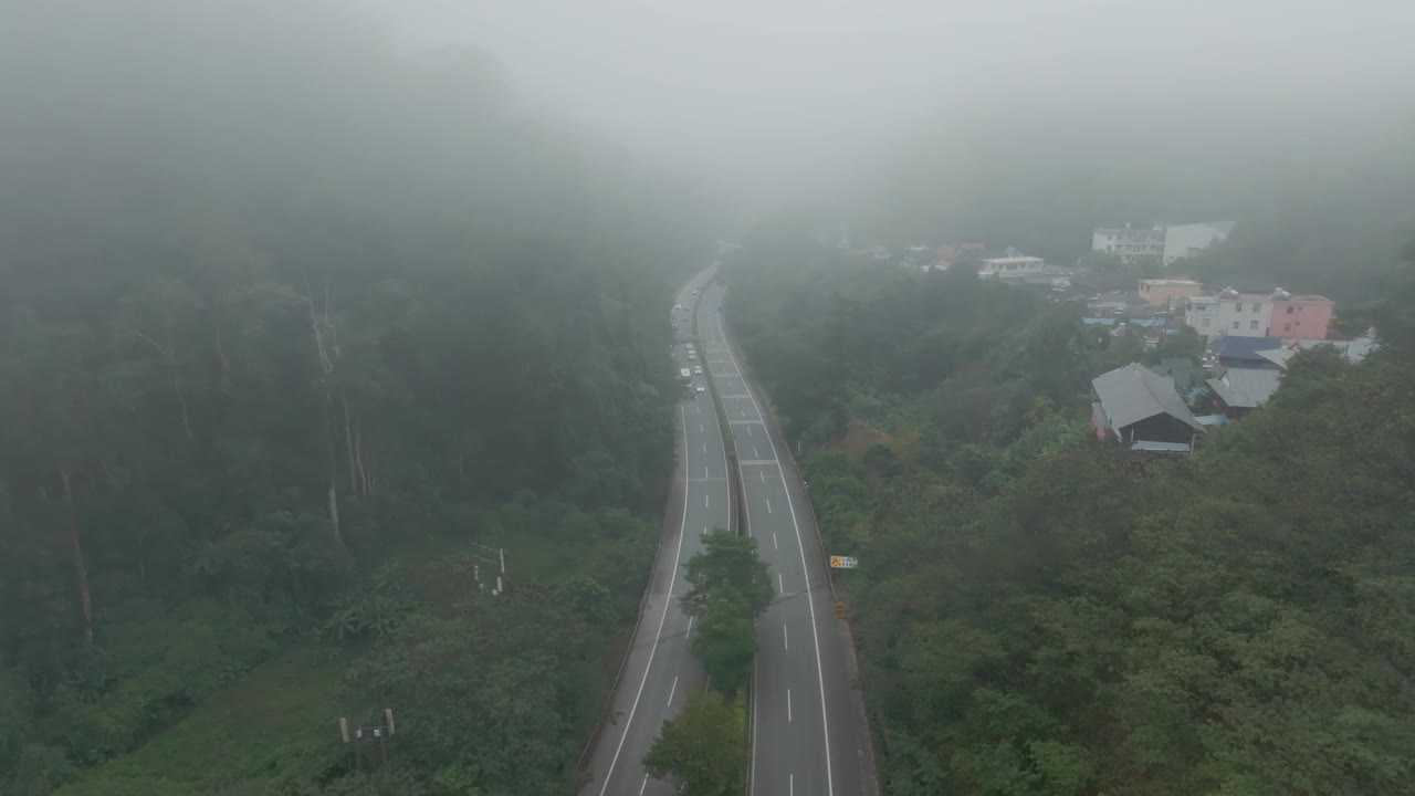 迷雾森林视频素材