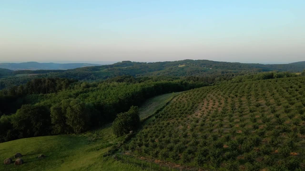 下午晚些时候，一架无人机在Bukulja山上的果园和树林上空飞行视频素材