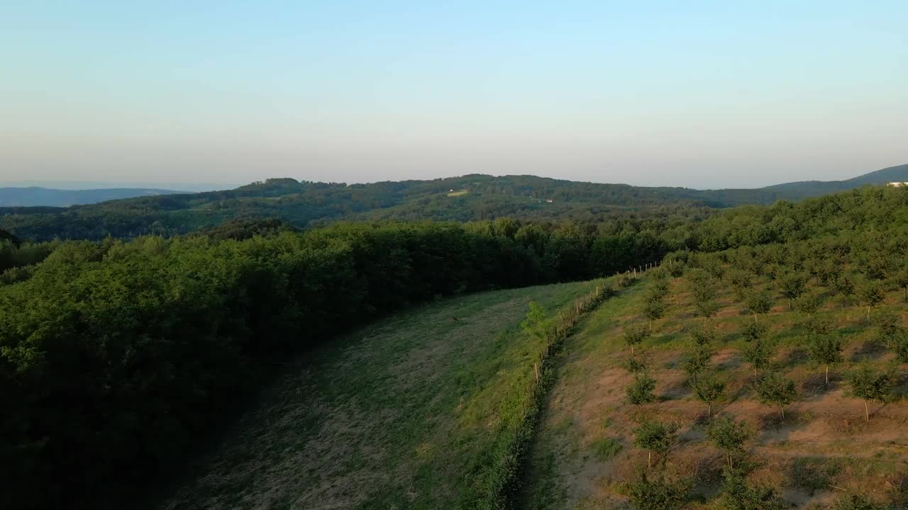 下午晚些时候，一架无人机在Bukulja山的树木和草地上飞行视频素材