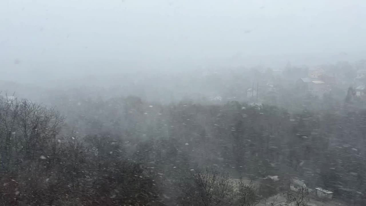 以森林为背景的暴风雪。暴雪。视频素材