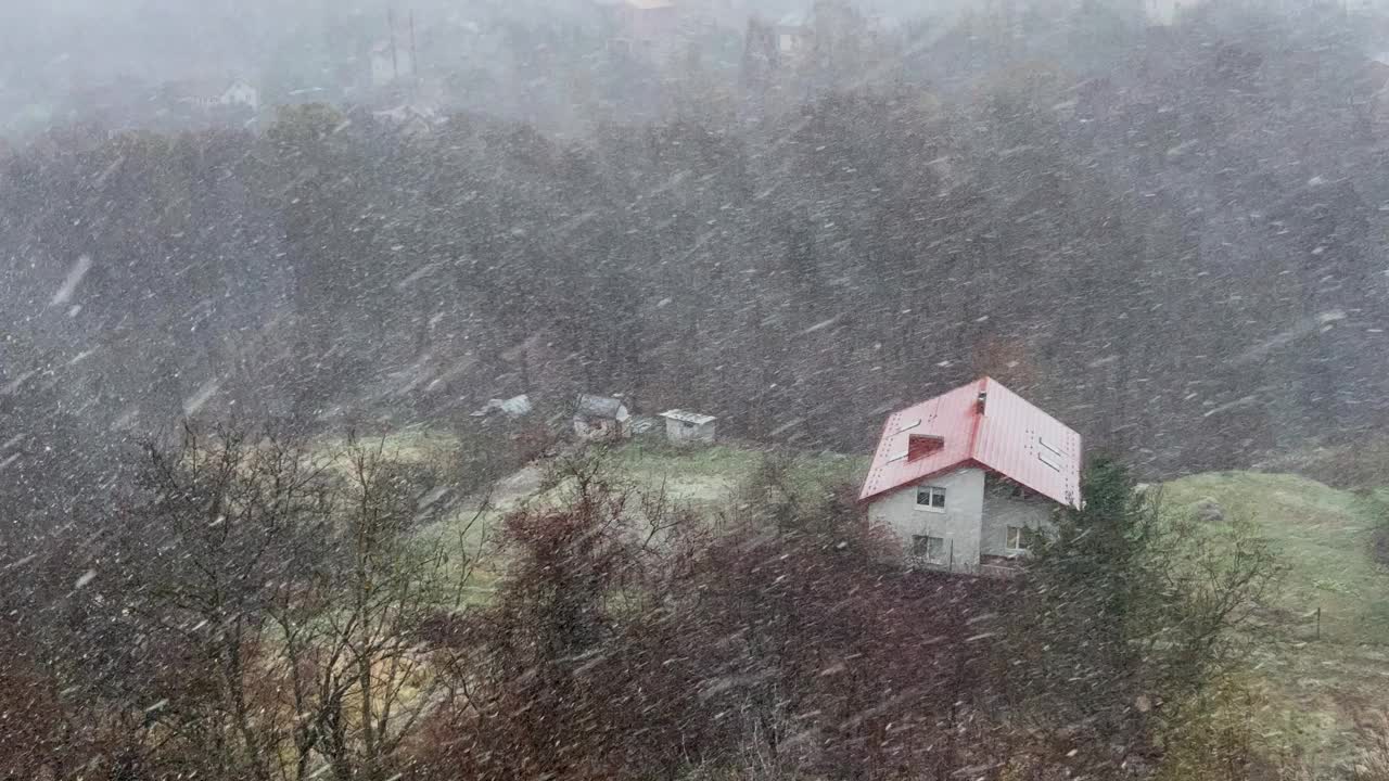 以森林为背景的暴风雪。暴雪。视频素材