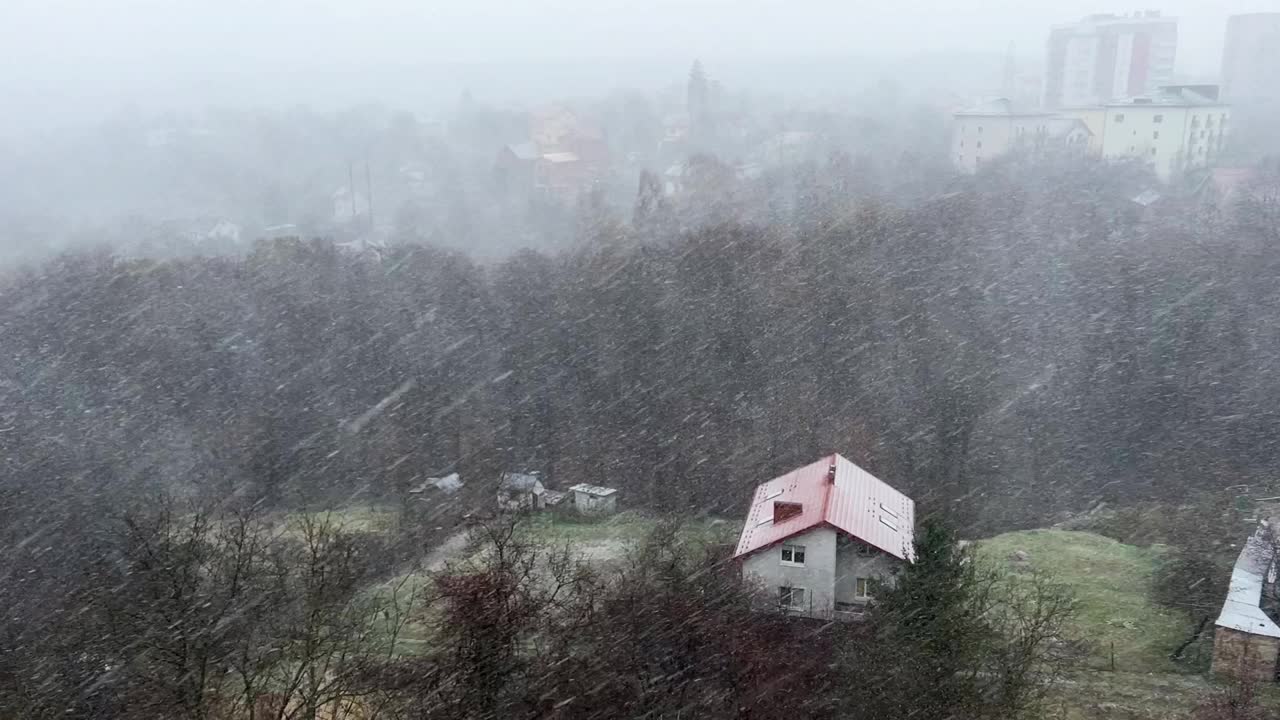 以森林为背景的暴风雪。暴雪。视频素材