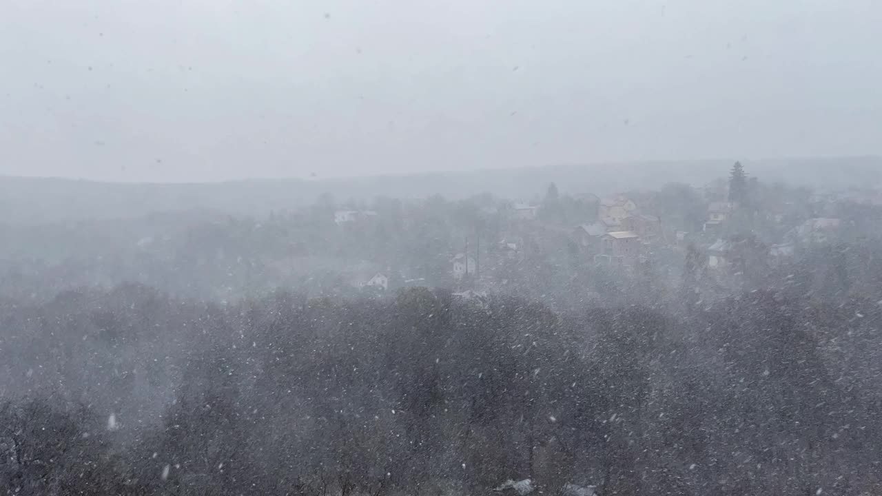 以森林为背景的暴风雪。暴雪。视频素材