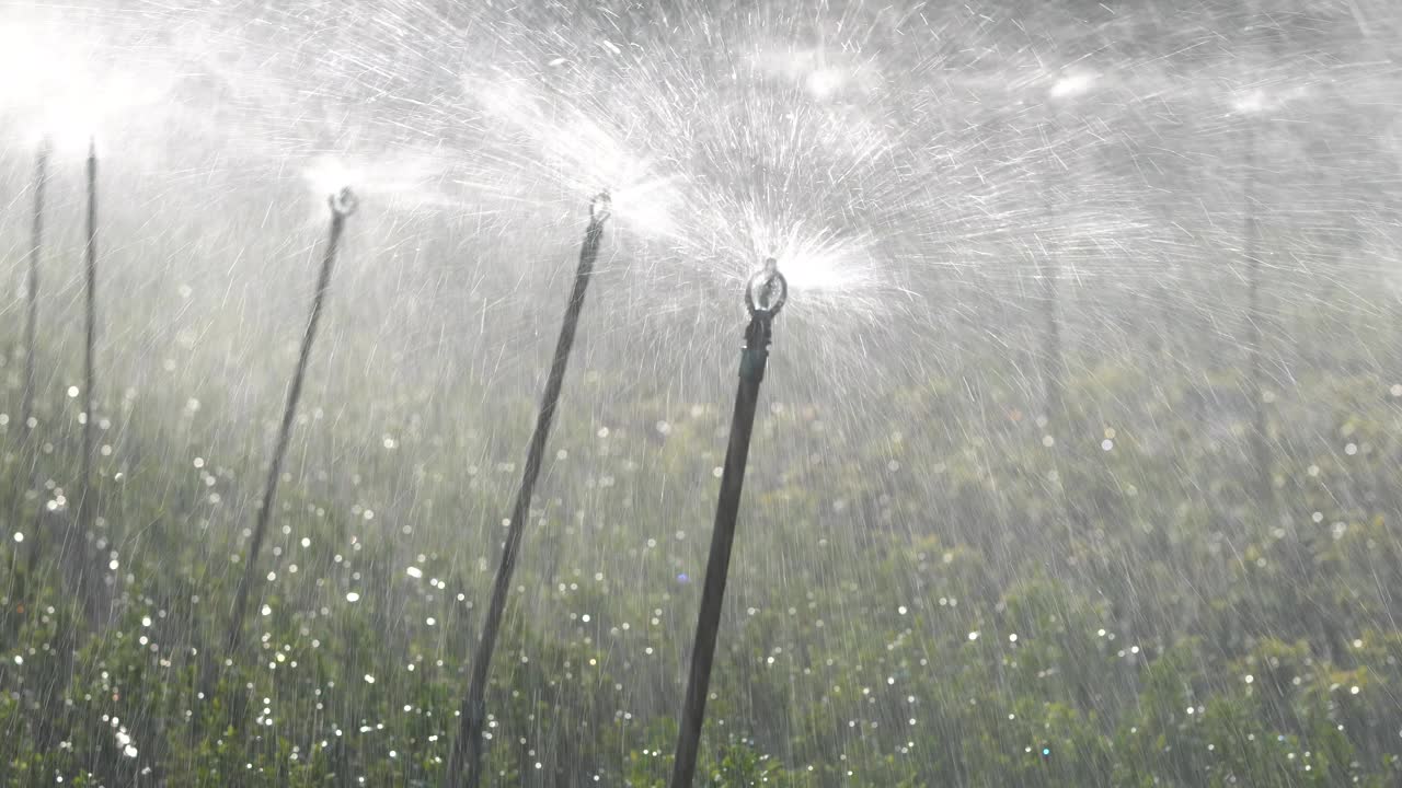 洒水车视频下载