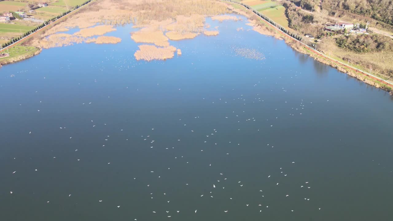 空中天然湖视频素材