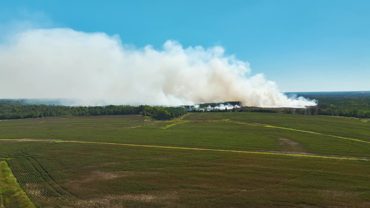 鸟瞰图:森林大火产生的白烟上升，污染了大气。自然灾害概念视频素材