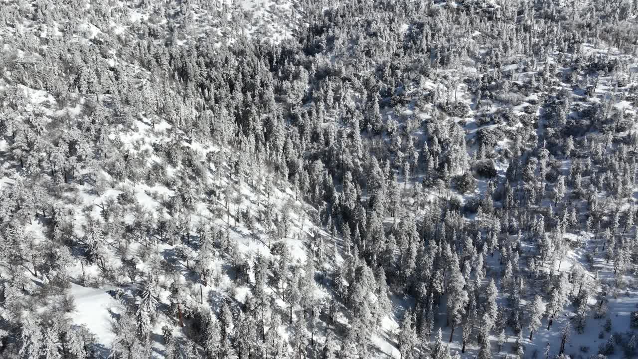 洛杉矶附近积雪覆盖的山脉航拍图视频素材