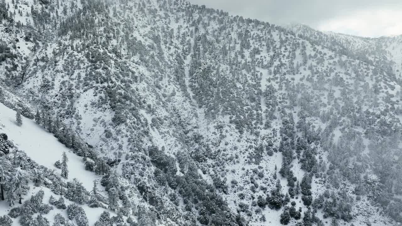 洛杉矶附近积雪覆盖的山脉航拍图视频素材