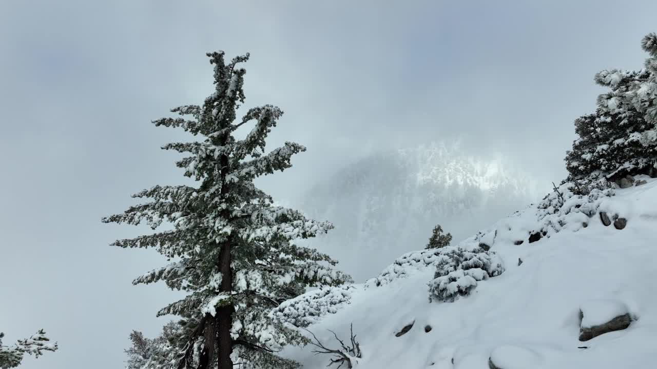 洛杉矶附近积雪覆盖的山脉航拍图视频素材