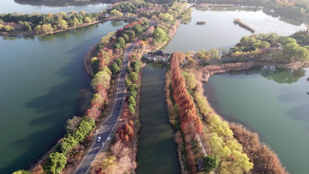 中国江苏苏州虎丘湿地公园美丽秋景的无人机视图。湖中的红木森林，4k实时画面，高视角。视频素材