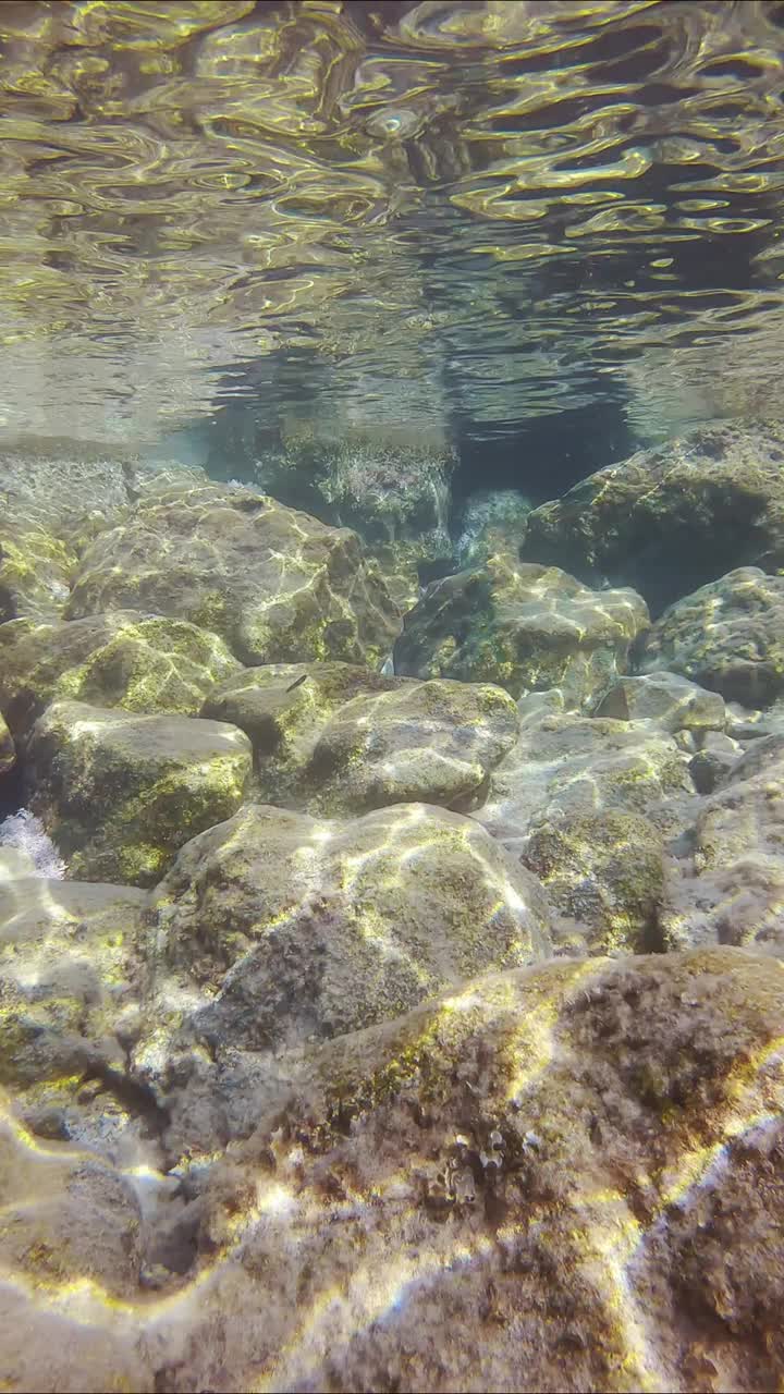 浅水景观与大石块在阳光的眩光和水面视频素材