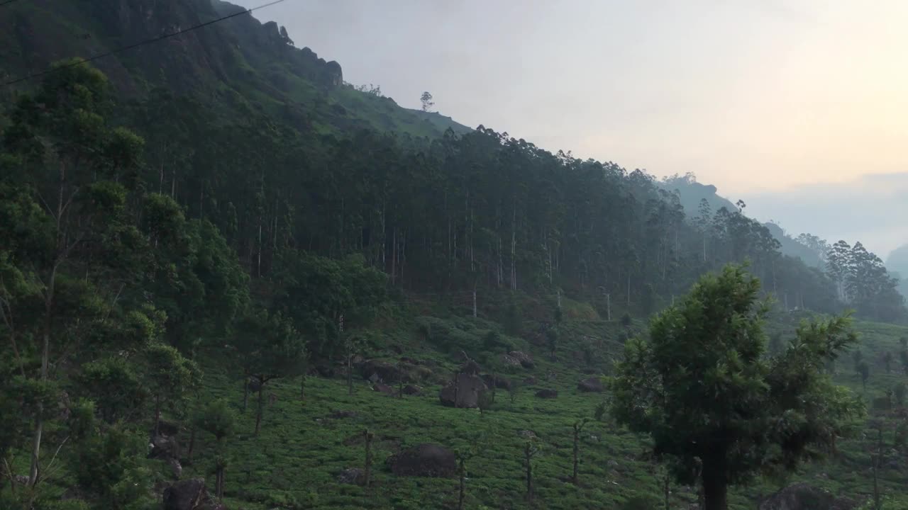 印度穆纳尔的茶园丘陵视频下载